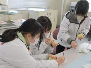 埼玉歯科技工士専門学校ブログ2023年2月ブリッジポンティック築盛