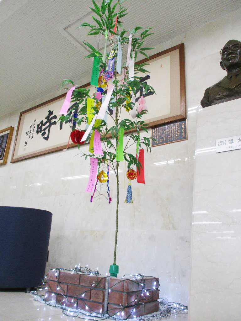 埼玉歯科技工士専門学校ブログ_2025年6月_七夕4