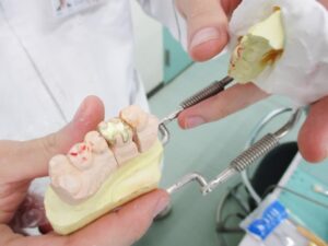埼玉歯科技工士専門学校ブログ_2025年10月_3