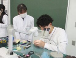 埼玉歯科技工士専門学校ブログ_2025年11月_2